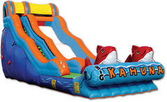 Giant Slides Giant Slides
